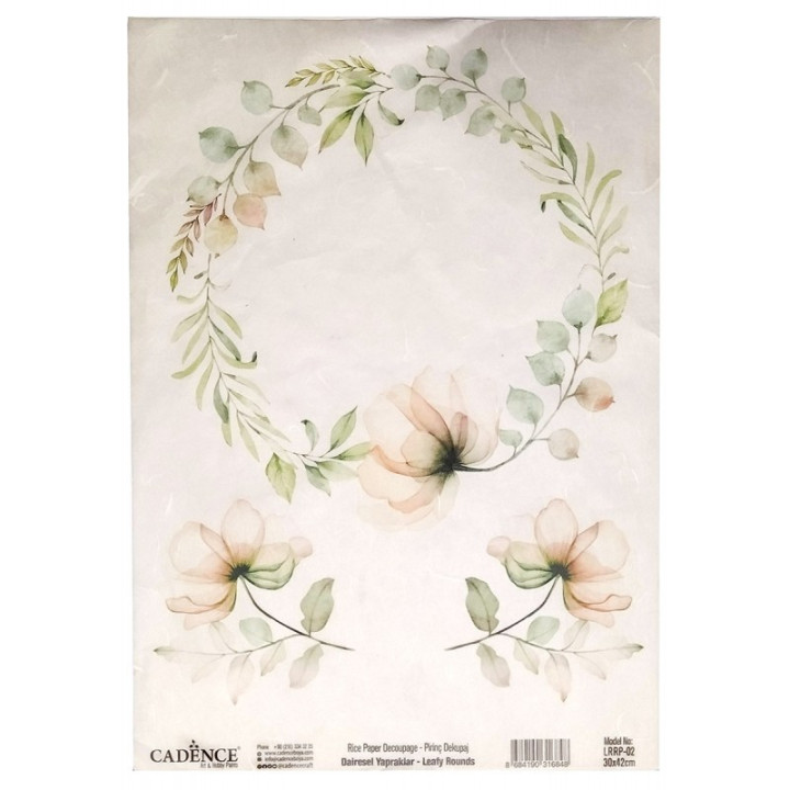 copy of 